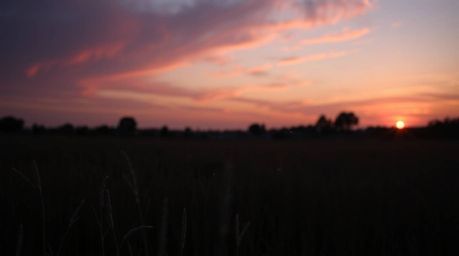 Capture the serene beauty of a sophisticated sunset over a tranquil meadow.  As twilight descends, fireflies begin to emerge,