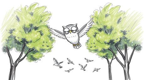 A charming hand-drawn sketch in the style of Pixar animation depicts a blind owl gracefully gliding between lush green trees.