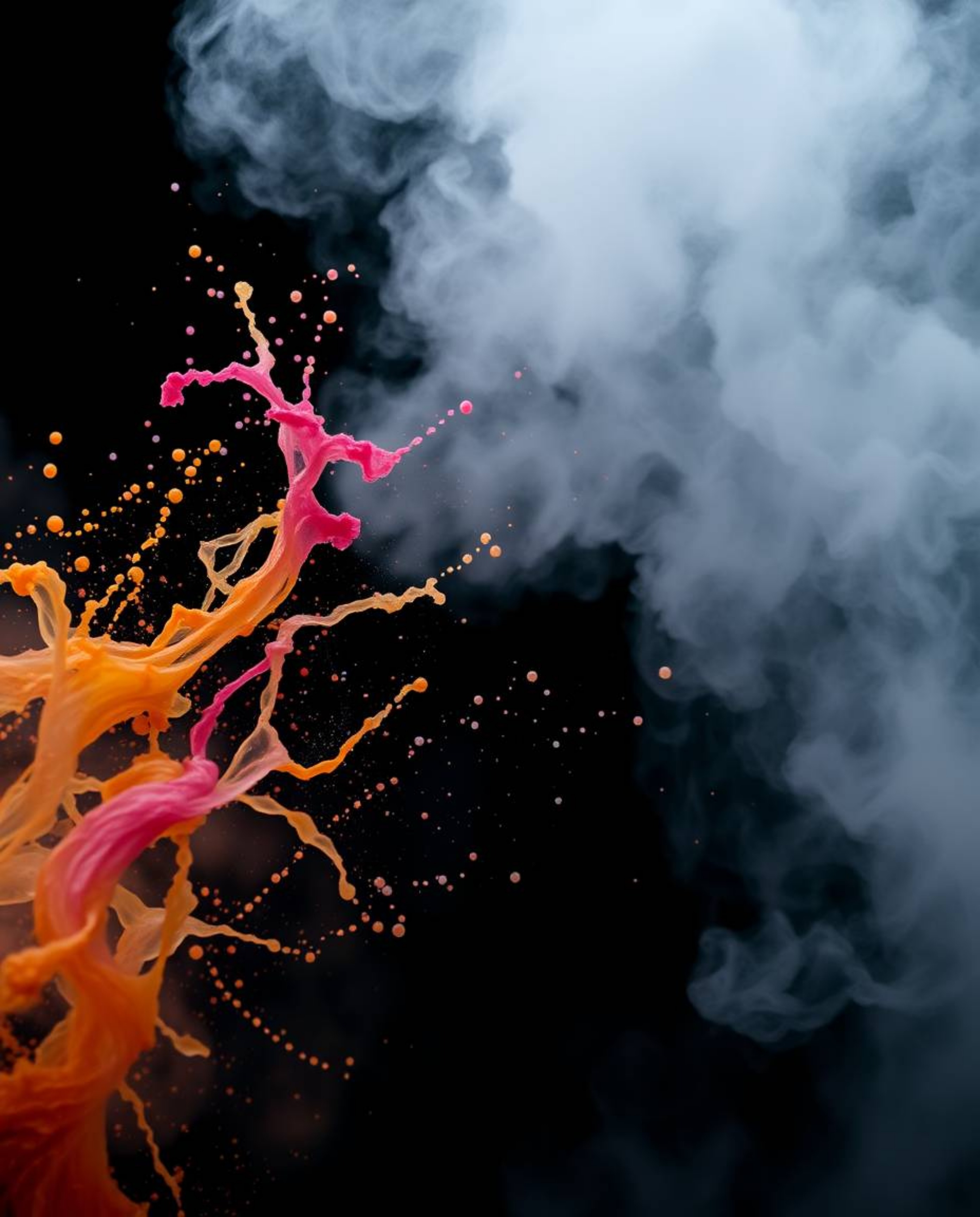 This collection showcases artistic photography featuring dynamic and colorful splashes against a stark black background. Each