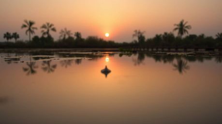 Capture the serene beauty of a sunset reflecting in a calm pond with this stunning low-angle perspective shot. The soft paste