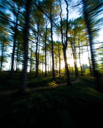 A captivating long exposure photograph of a tranquil forest scene, uniquely enhanced with a digital glitch overlay.  The imag