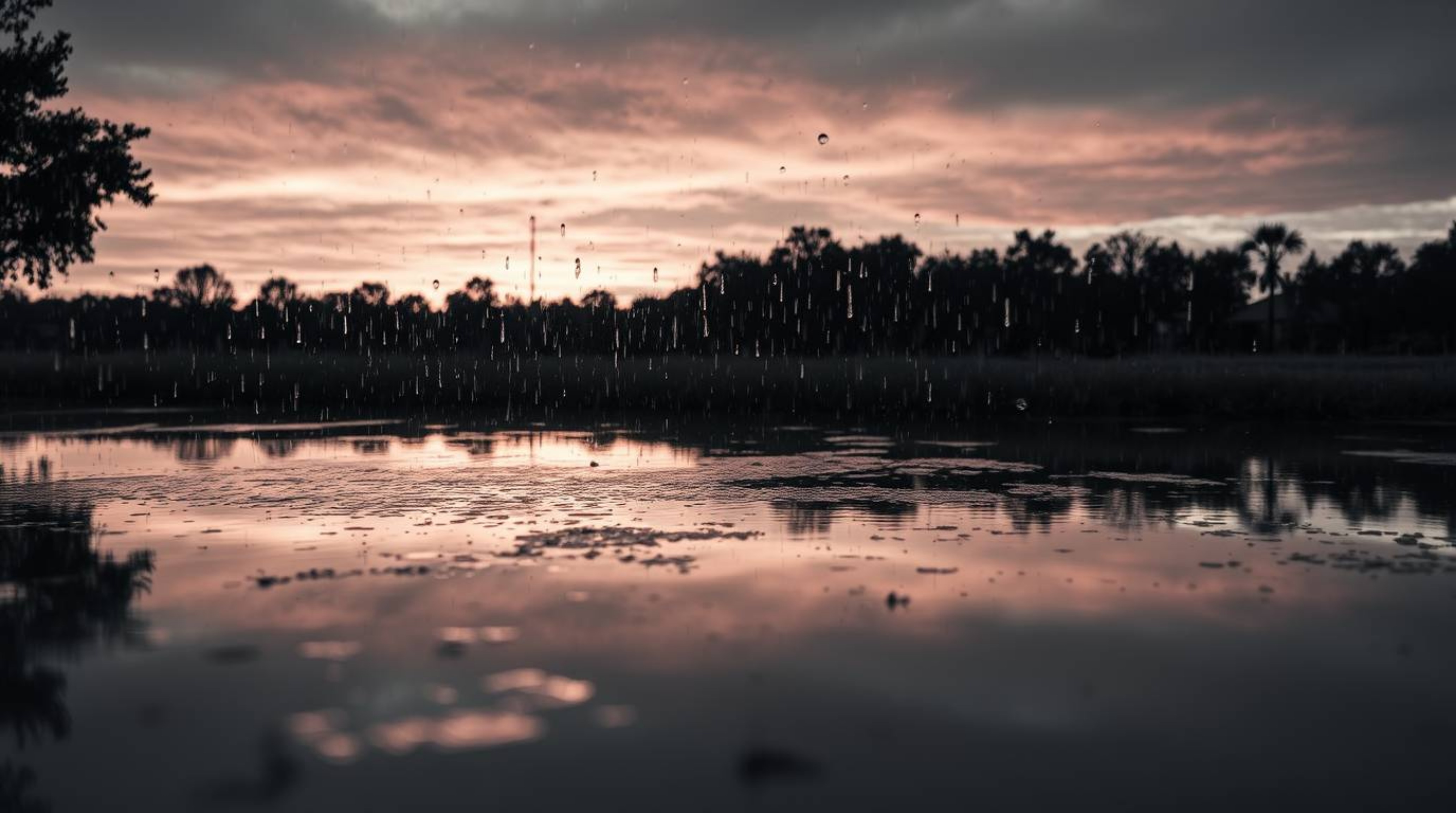 A classic black and white photograph captures a rainy scene with a vibrant colorful sunset reflected in a calm pond. The driz
