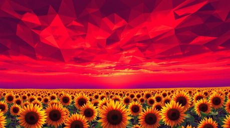 This captivating artwork features a sunflower field depicted in an intricate origami style under a dramatic deep red and purp