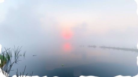 A captivating hand-drawn sketchnote depicts a serene pond reflecting a vibrant sunset through a thick fog.  The high-angle pe