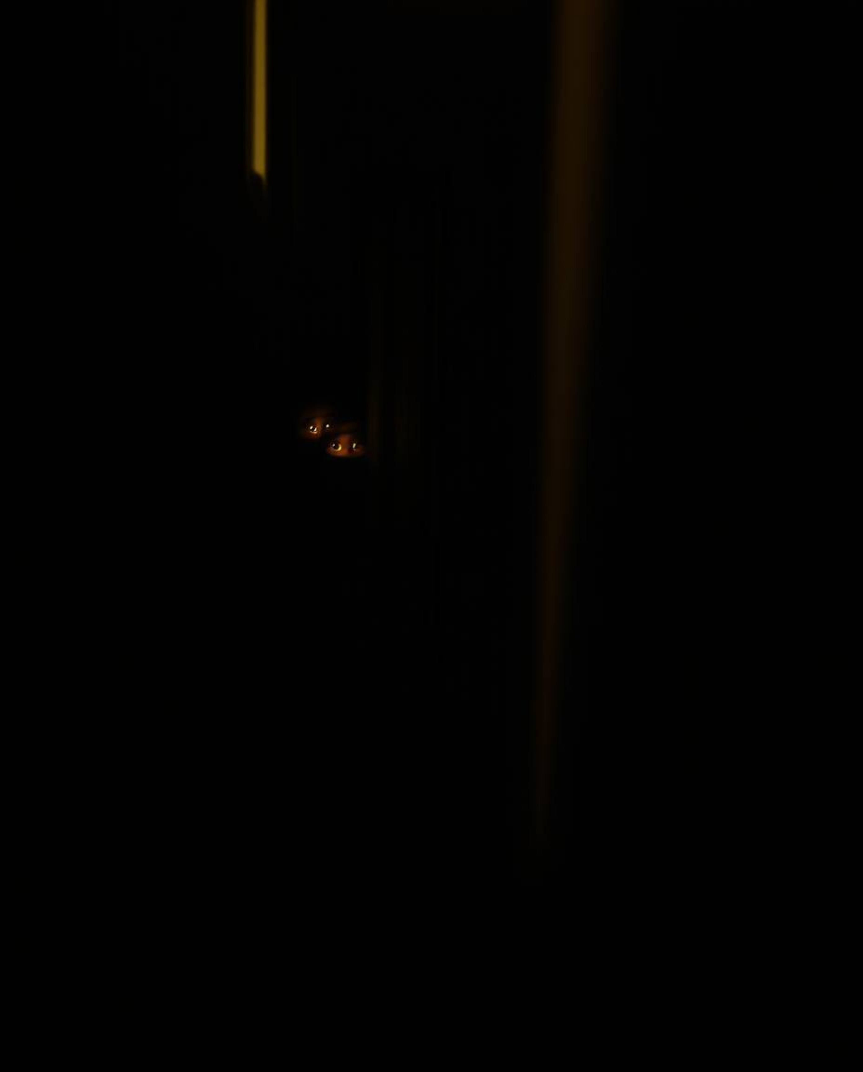 A captivating and slightly dark fine art photograph depicting eyes watching from the shadows of a night alley.  The image emp