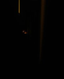 A captivating and slightly dark fine art photograph depicting eyes watching from the shadows of a night alley.  The image emp