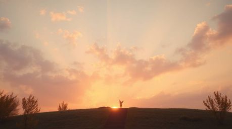 Experience a dreamlike state with warm autumn colors bathed in golden hour light. Witness steps of light ascending into a clo