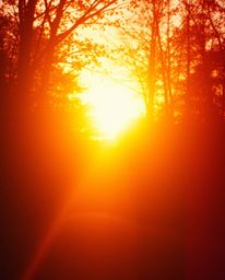 Discover stunning fine art photography capturing warm autumn colors bathed in golden hour light.  Experience the unique aesth