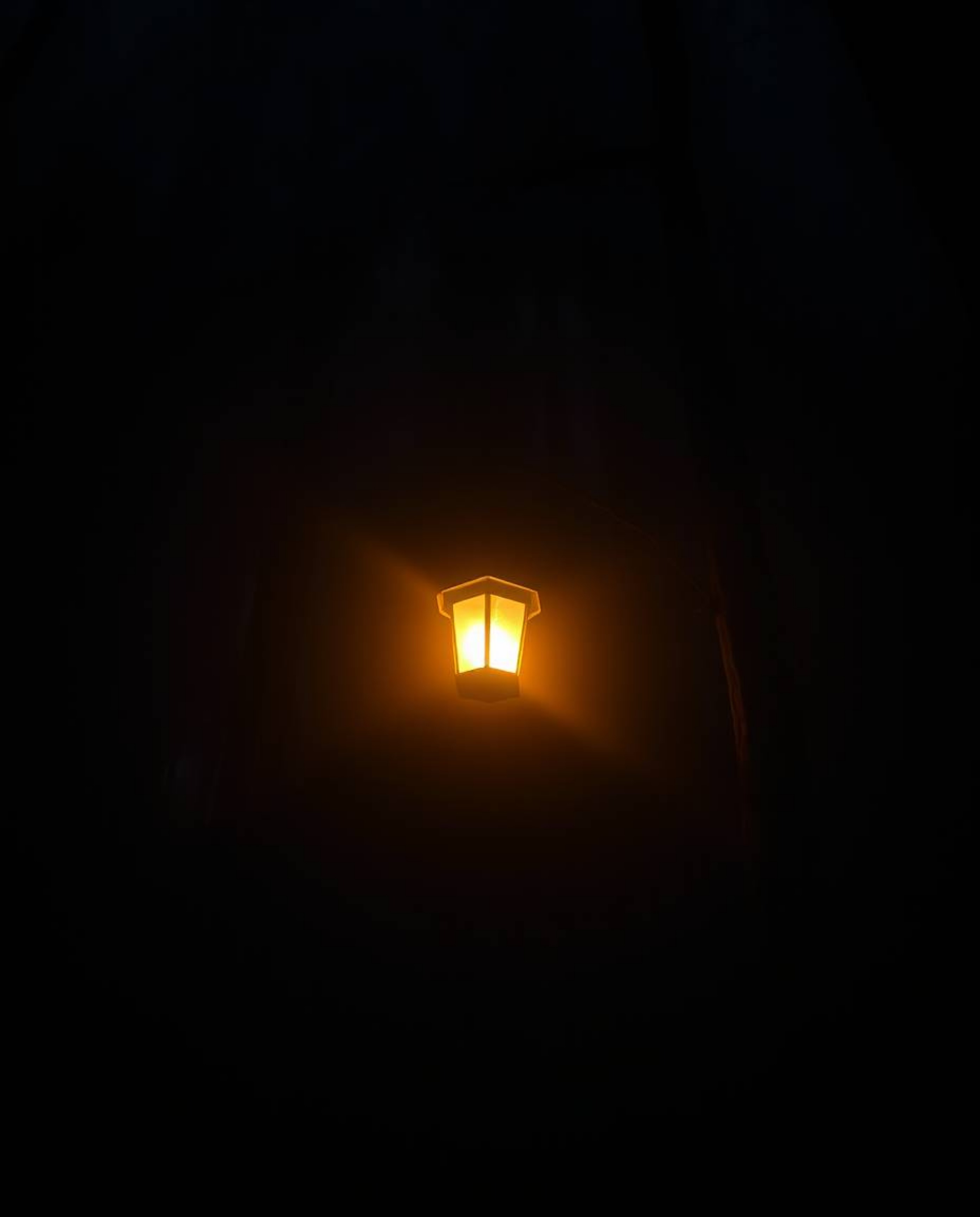 A captivating scene unfolds in a dark forest, illuminated by a single, glowing lantern. Shot from a low angle perspective, th