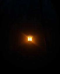 A captivating scene unfolds in a dark forest, illuminated by a single, glowing lantern. Shot from a low angle perspective, th