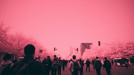 Explore a surreal world through candid street photography infused with vibrant infrared tones and abstract gradient backgroun
