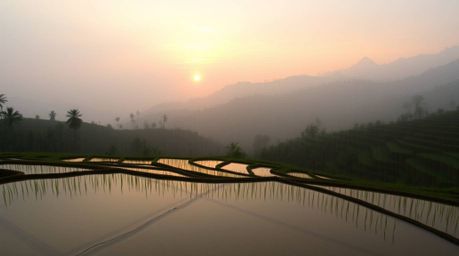Experience the tranquility of a soft, dreamy sunset over lush rice terraces nestled in the mountains.  The scene is beautiful