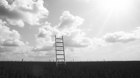 A classic black and white photograph depicting a silver ladder standing in a field under a cloudy sky, featuring a bright len