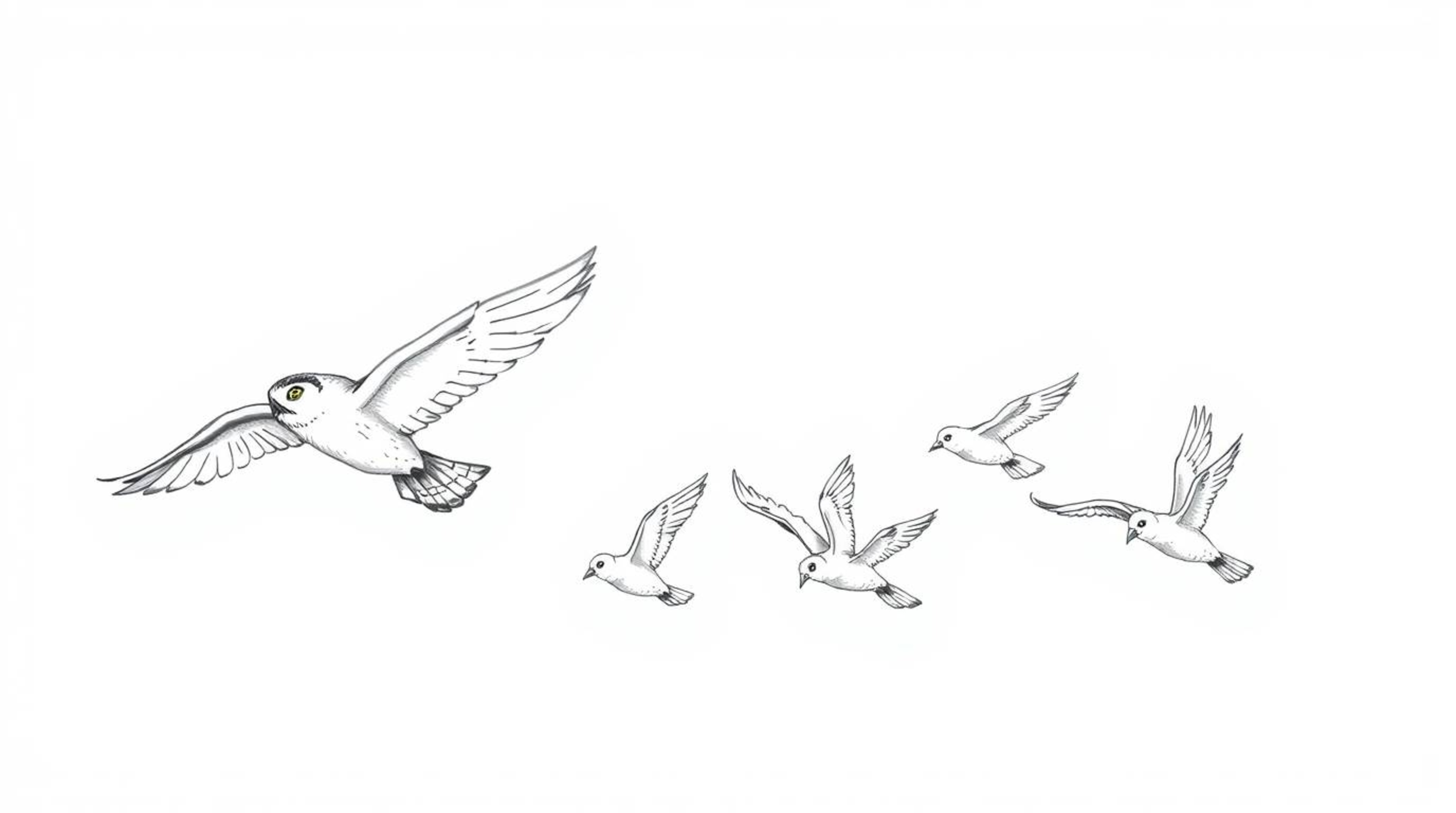 A charming Pixar-style sketch depicts a blind owl leading a synchronized, harmonious flight of birds. The hand-drawn illustra