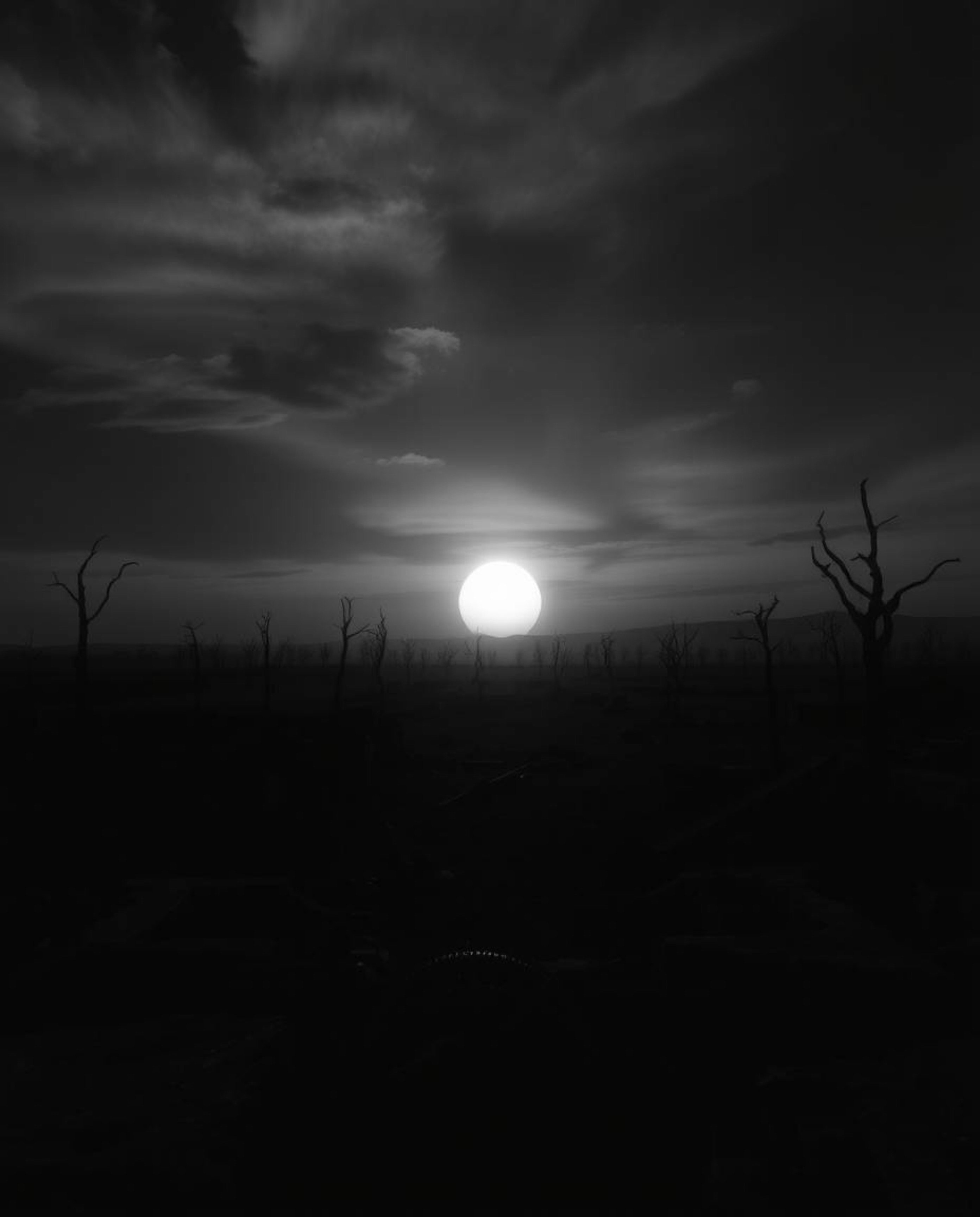 A striking black and white depiction of a sunrise illuminating a war-torn landscape, this image evokes a profound sense of un