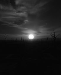A striking black and white depiction of a sunrise illuminating a war-torn landscape, this image evokes a profound sense of un