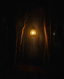 Escape into a dreamy atmosphere with this captivating image of a glowing lantern in a dark forest.  The artwork features natu