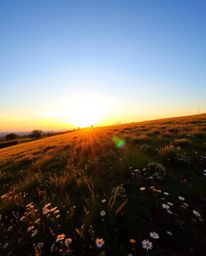 This striking image presents an overhead bird’s eye view of a sunset over a vibrant spring wildflower meadow. The scene is il