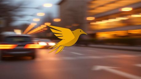 This logo concept features a geometric representation of a fast-running bird, symbolizing speed and agility, depicted zooming