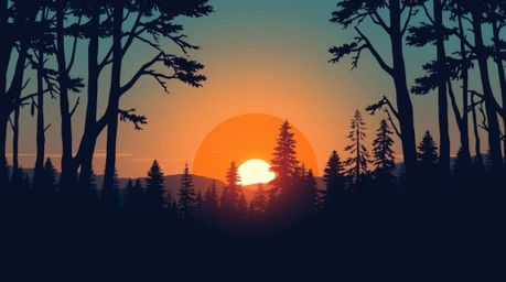 A modern, flat-design illustration depicting a vibrant sunset casting strong, hard light and harsh shadows through a dense fo