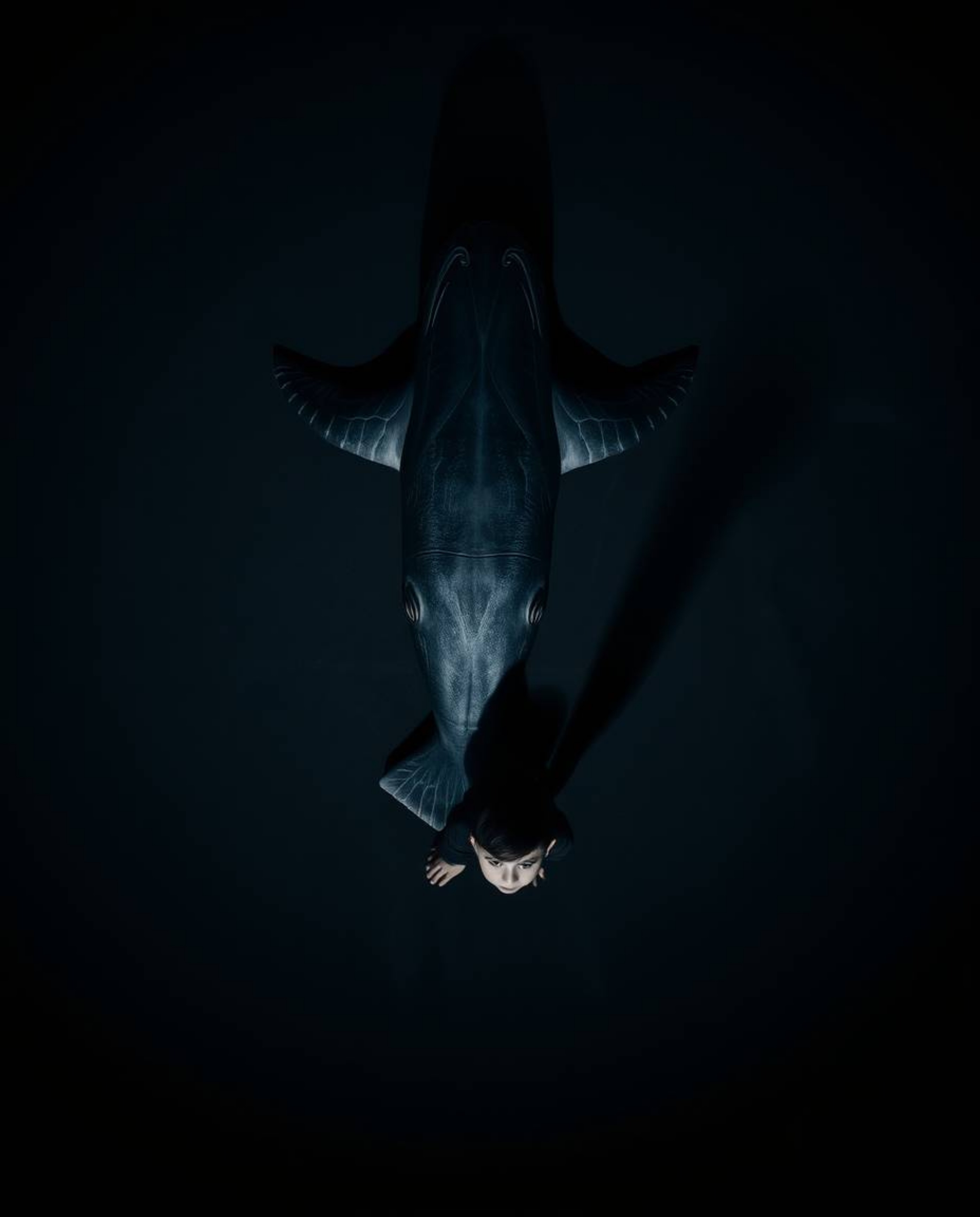 A captivating bird's-eye view captures a unique friendship between a sea creature and a child.  The high-contrast, low-key im