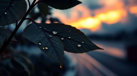 Intricate origami-style leaves capture the essence of a vibrant sunset reflected in delicate raindrops. The sharp focus on th