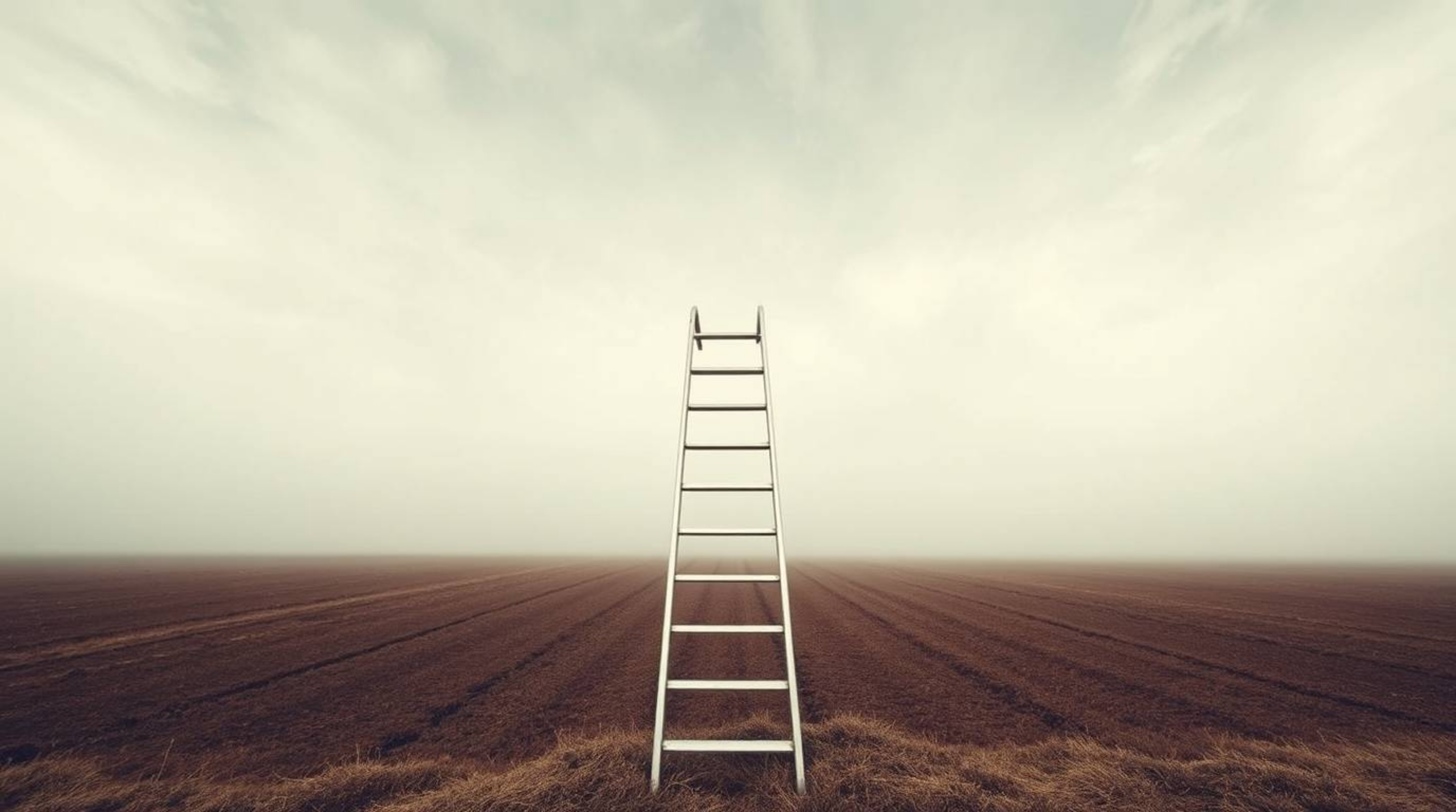 This architectural color photograph captures a minimalist scene: a silver ladder stands alone in an open field beneath a wide
