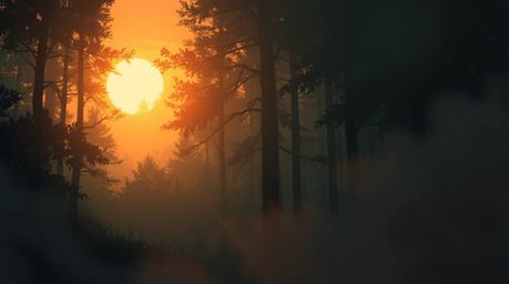 A dreamlike digital painting captures the magical moment of sunset light filtering through a dense forest.  The artwork is di