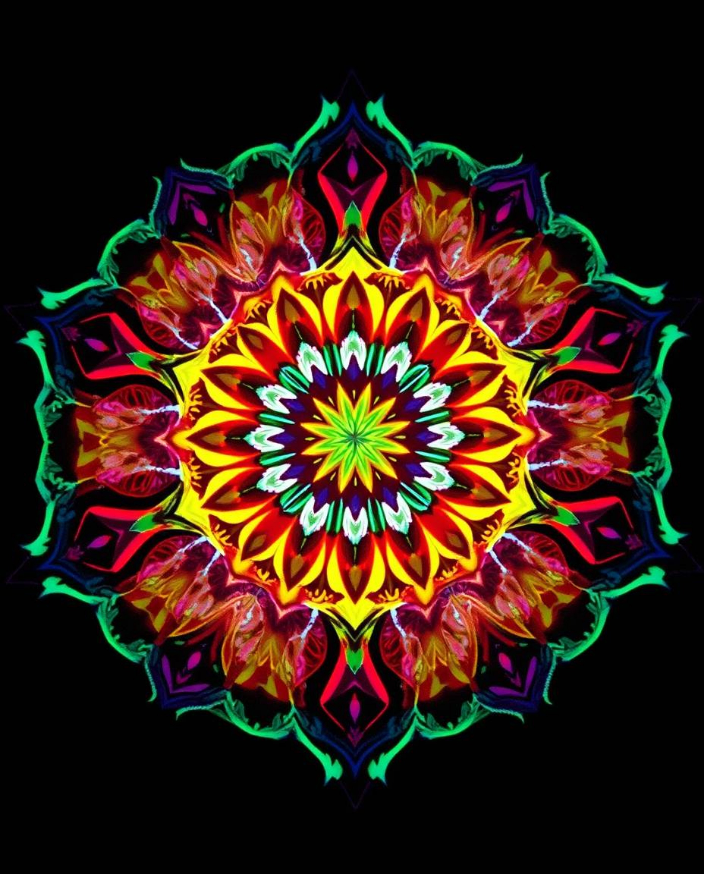 A captivating geometric floral mandala bursts with vibrant, bioluminescent colors.  Its symmetric design and dramatic cinemat