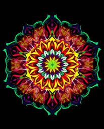 A captivating geometric floral mandala bursts with vibrant, bioluminescent colors.  Its symmetric design and dramatic cinemat