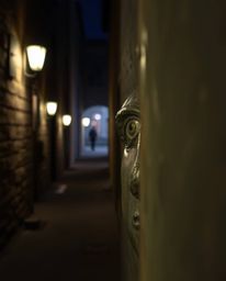 This cast bronze sculpture evokes a soft, dreamy atmosphere, depicting eyes watching from the shadowy depths of a nighttime a