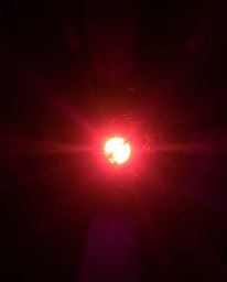 Photograph of a sunset through a dense jungle canopy, featuring bright lens flares, deep ultraviolet hues, vivid purples, hig
