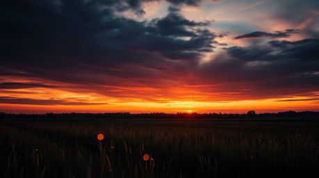 Capture the unsettling beauty of a sunset over a quiet meadow in this high-resolution stock photograph.  The scene features f