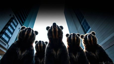 A captivating image of a bear family in an unexpected urban setting.  Shot from a low angle, the dramatic lighting and intens