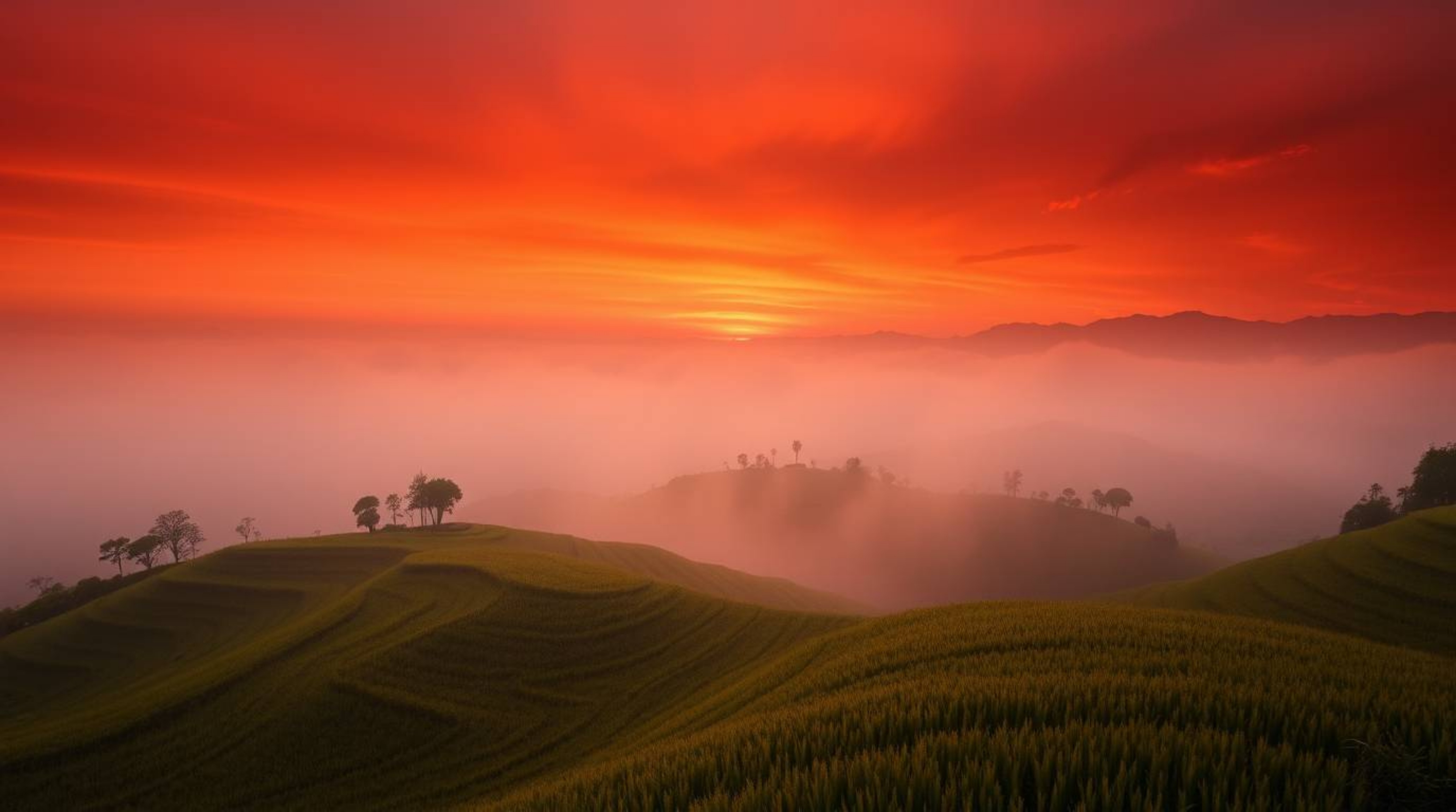 Experience a dramatic cinematic sunset over stunning rice terraces, where thick fog gently obscures the distant mountains, cr