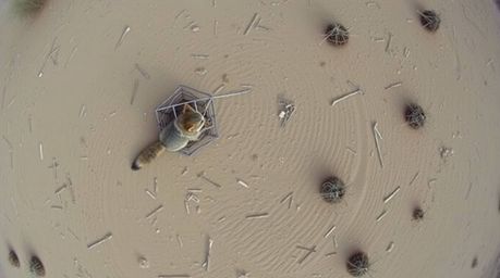 This image showcases a comical scene in the desert where a coyote is setting up a ridiculously elaborate trap, captured from 