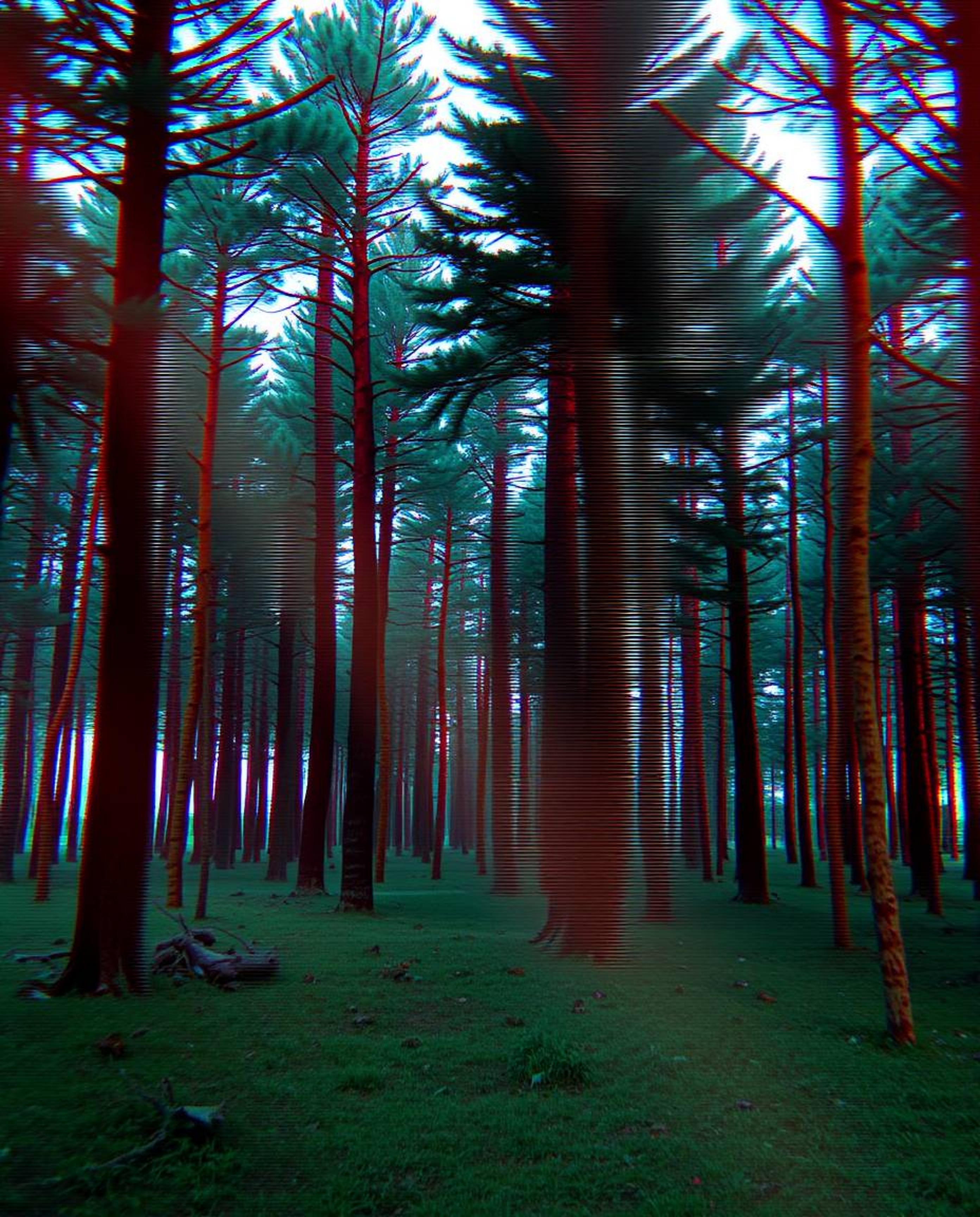 Experience a dramatic cinematic digital glitch effect transforming a serene forest scene.  Smooth gradient transitions and su