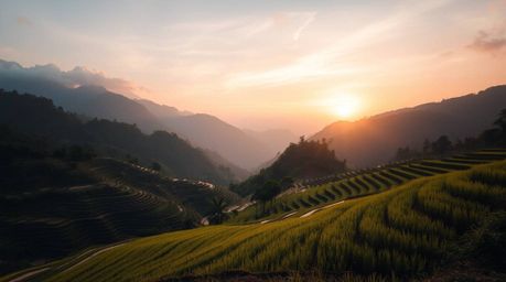 Experience the breathtaking beauty of a sunset over stunning rice terraces nestled in the mountains.  Rendered in soft pastel