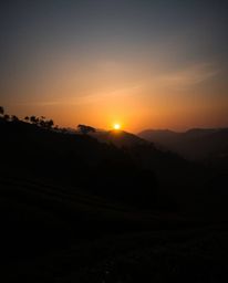 This image captures a dramatically lit sunset over terraced tea plantations, defined by its powerful silhouetted backlighting