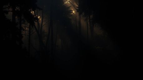 A captivating digital painting showcasing a vibrant sunset filtering through a dense forest.  The artwork features intense je