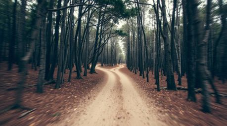 Experience a thrilling chase through a seemingly endless forest with a looping background. This high-angle perspective captur