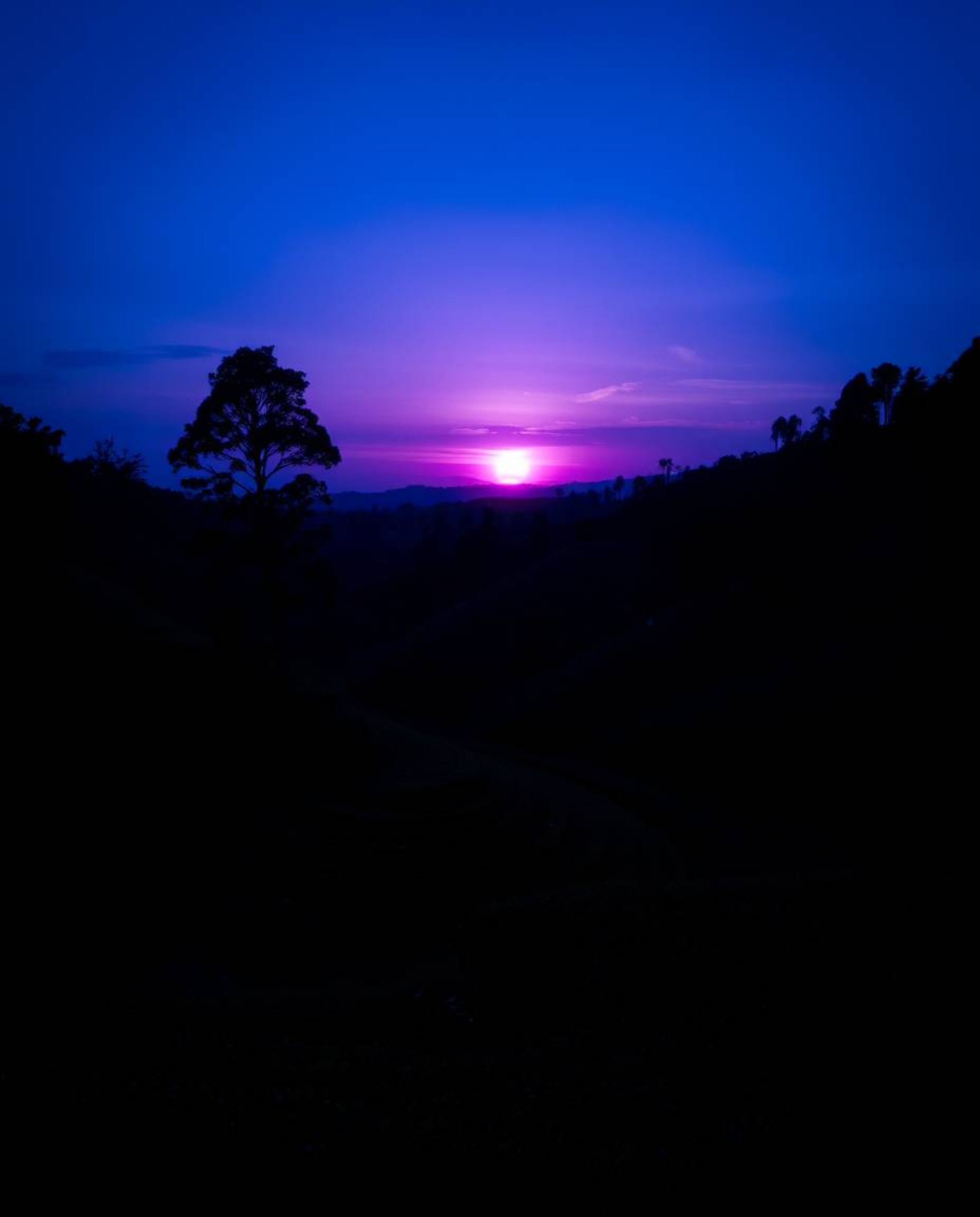 This artwork captures a cool-toned sunset over terraced tea plantations, rendered in a striking palette of blues, greens, and