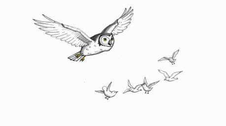 A captivating hand-drawn sketch in the style of Pixar portrays a heartwarming scene: a blind owl, wings outstretched mid-flig