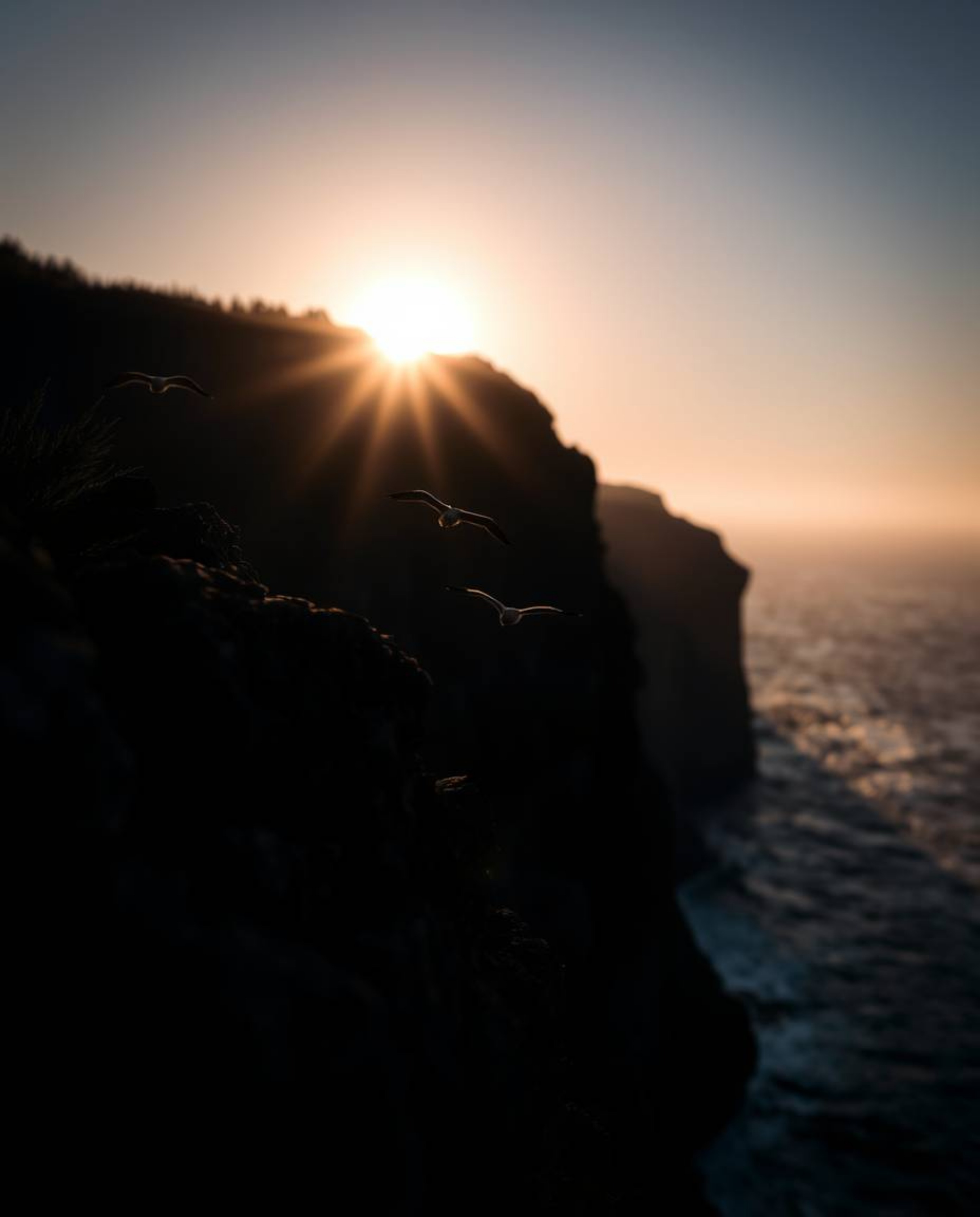 This is a high-contrast, low-key, extreme macro close-up of a sunset over a coastal cliff. The image focuses intensely on the