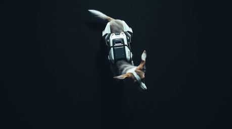 A captivating overhead shot depicts a futuristic dog autonomously traversing the vast expanse of space. Rendered in a strikin