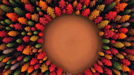 Experience a thrilling overhead bird's-eye view of a chase unfolding through a looping forest background.  The warm color pal