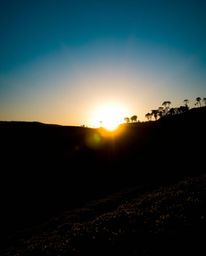 This striking photograph captures a sunset over terraced tea plantations from a dramatic low-angle perspective. The compositi