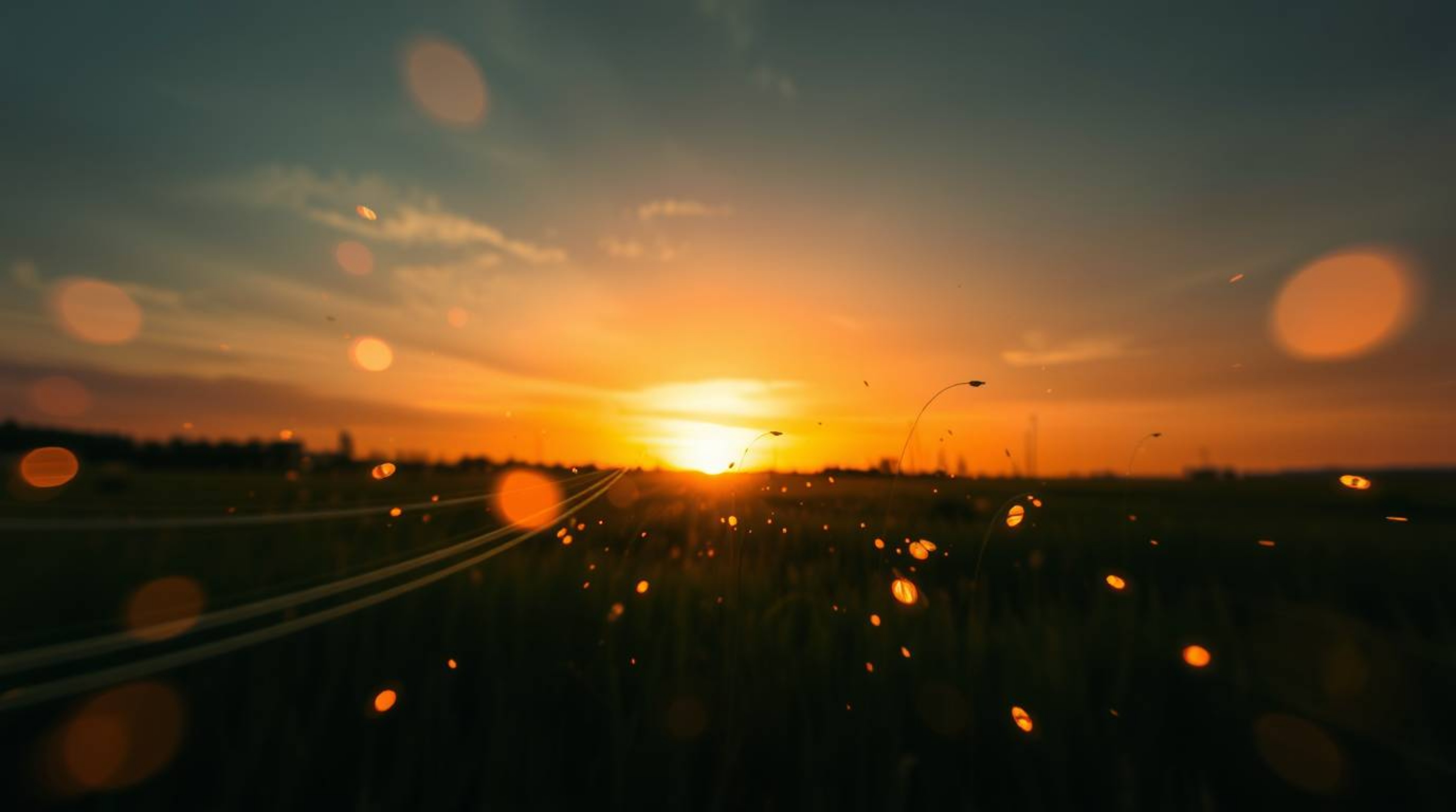 Experience a captivating dynamic light art piece depicting a vibrant sunset over a tranquil meadow. Witness the magical dance