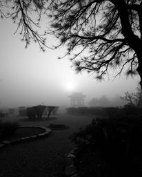 Close-up shot of a serene Zen garden at sunset, thick fog obscuring distant elements, emphasizing detailed textures in monoch