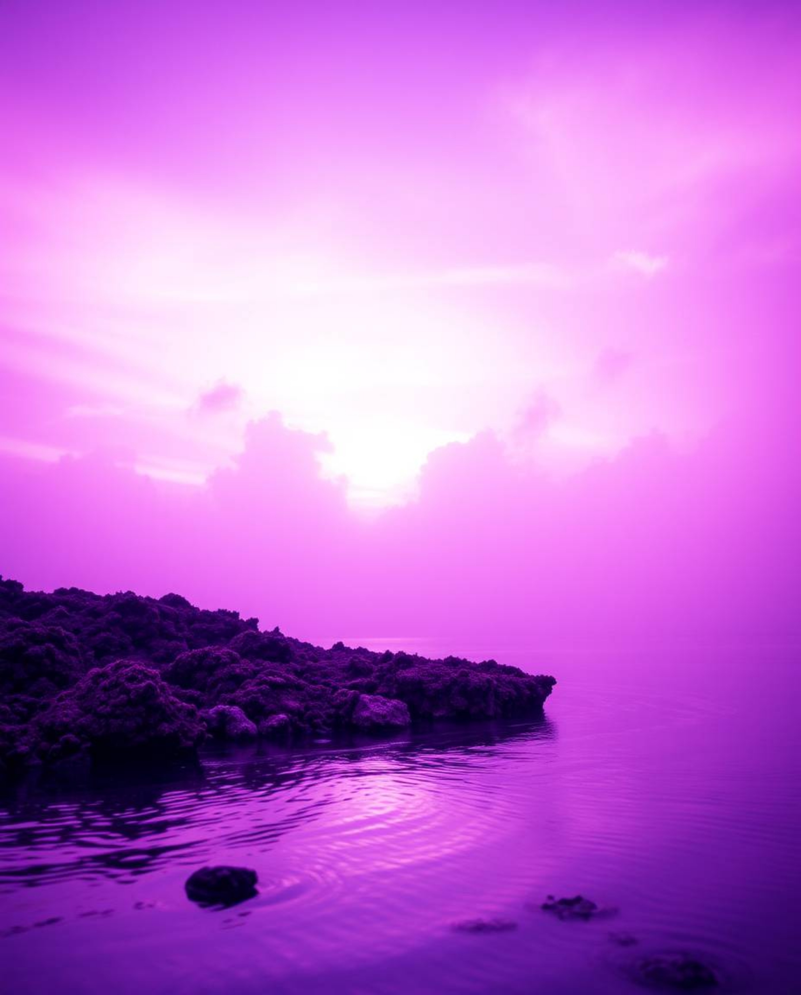 A soft cinematic image captures a colorful sky over a coral reef at low tide, bathed in deep ultraviolet hues. This high-cont